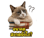 863245104