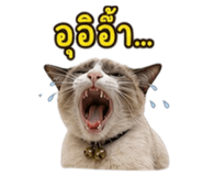 863245105