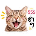 863246215