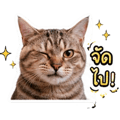 863246247