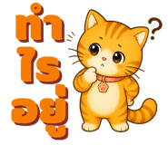 863246539