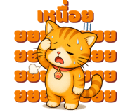 863246541