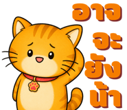 863246545