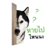 863247374