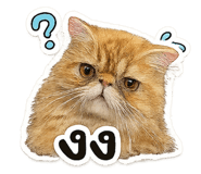863248892