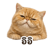 863248902