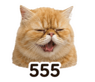 863248903