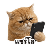 863248909