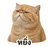 863248914