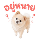 863249191