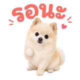 863249192