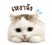 863250211
