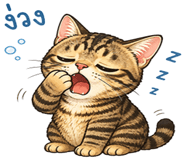 863250354