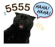 863250445
