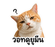863251545