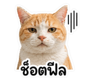 863251549