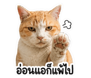 863251550