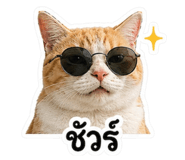 863251553
