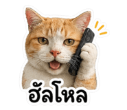 863251563