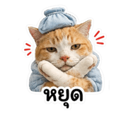 863251564