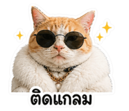 863251569