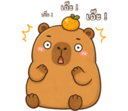 863251769