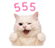 863253387