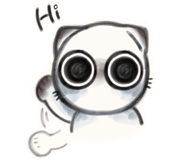 863254508