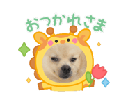 863266446