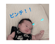 863266731