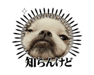 863266996