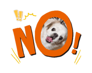 863266999