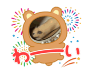 863267009