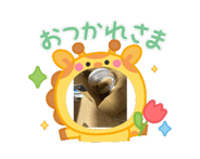 863267015