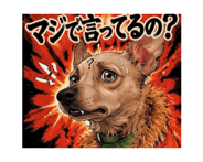 863267073