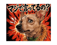 863267080