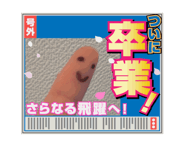 863267193