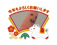 863267194