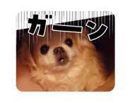 863267489