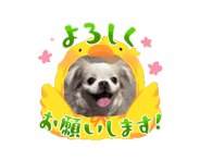 863267496