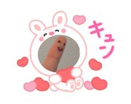 863267497