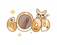 863267499