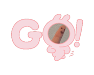 863267504