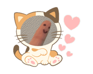 863267505