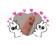 863267508