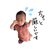 863334952