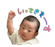 863334956