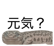 863339833
