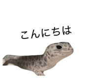 863339836