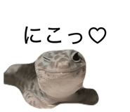 863339837